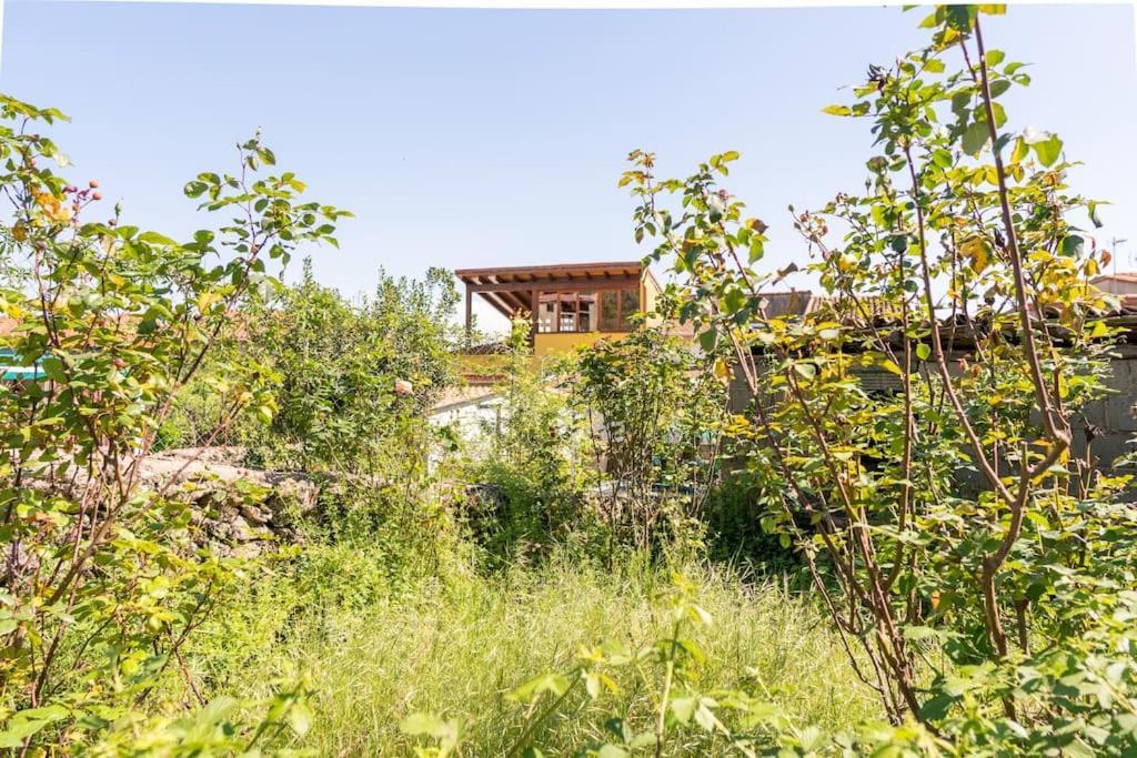 Casa La Vera Rural Talaveruela Екстер'єр фото